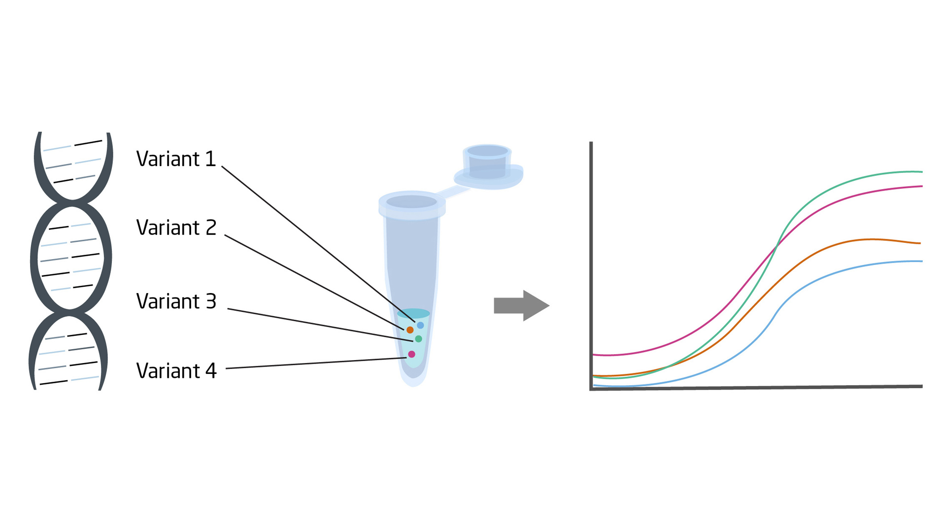 Multiplex PCR